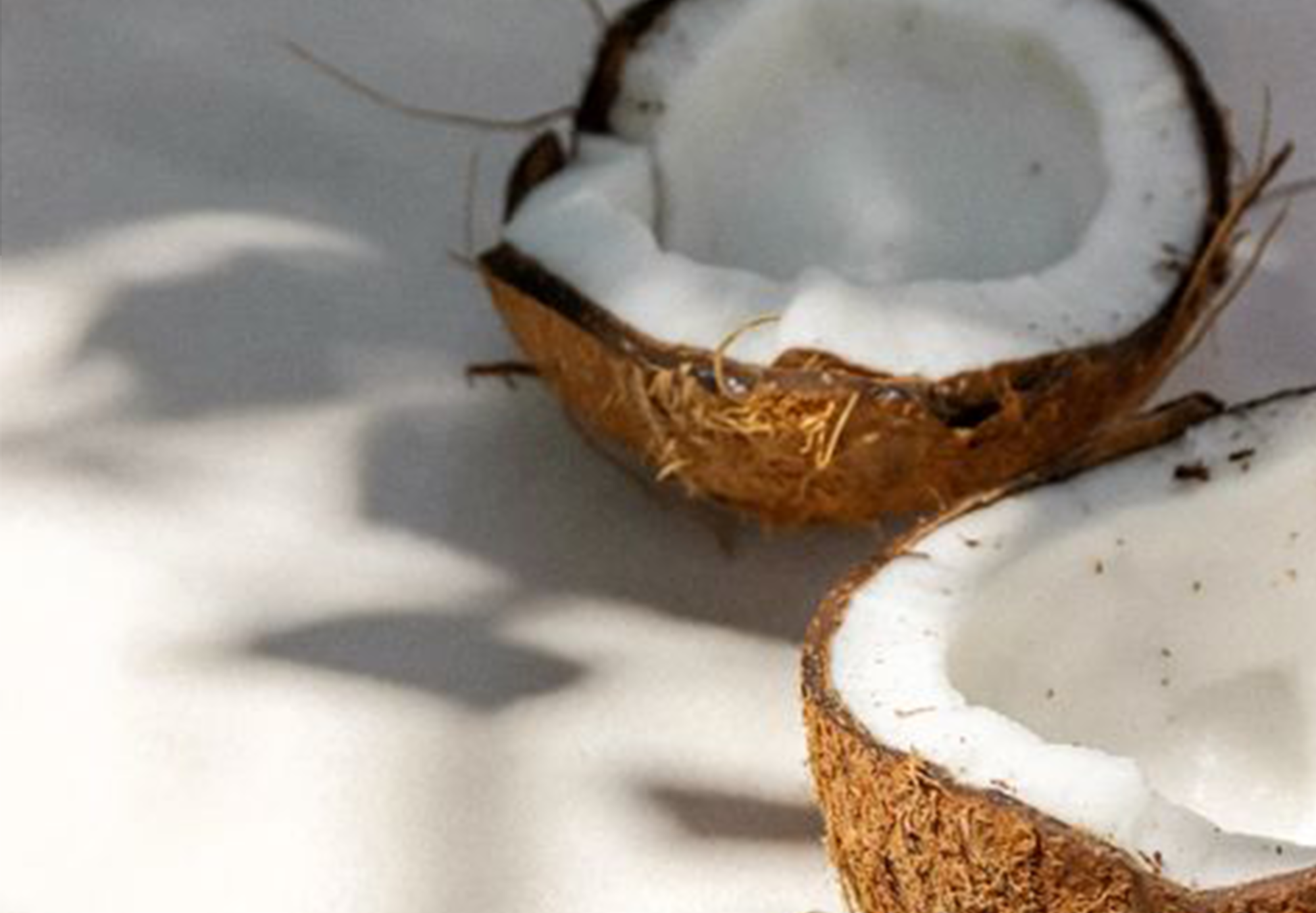 Coconut Milk Powder (Inside Scoop)