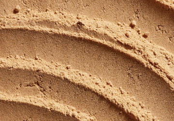 Maca Root (Inside Scoop)