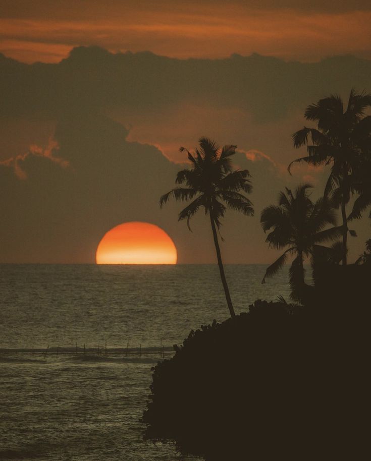 The Foundations of Real Health