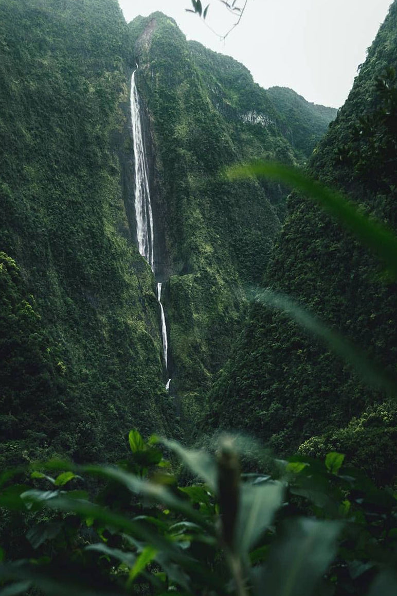 Waterfall cascading down a lush green mountain