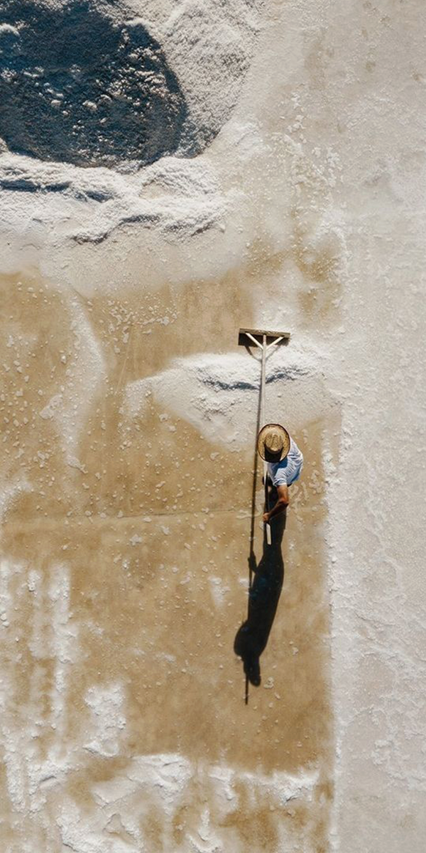 What Clean Label Actually Means