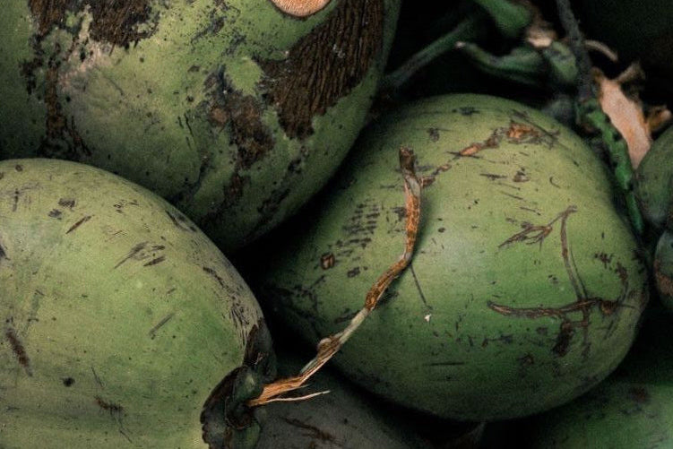 Organic Coconut Palm Sugar + Monk Fruit