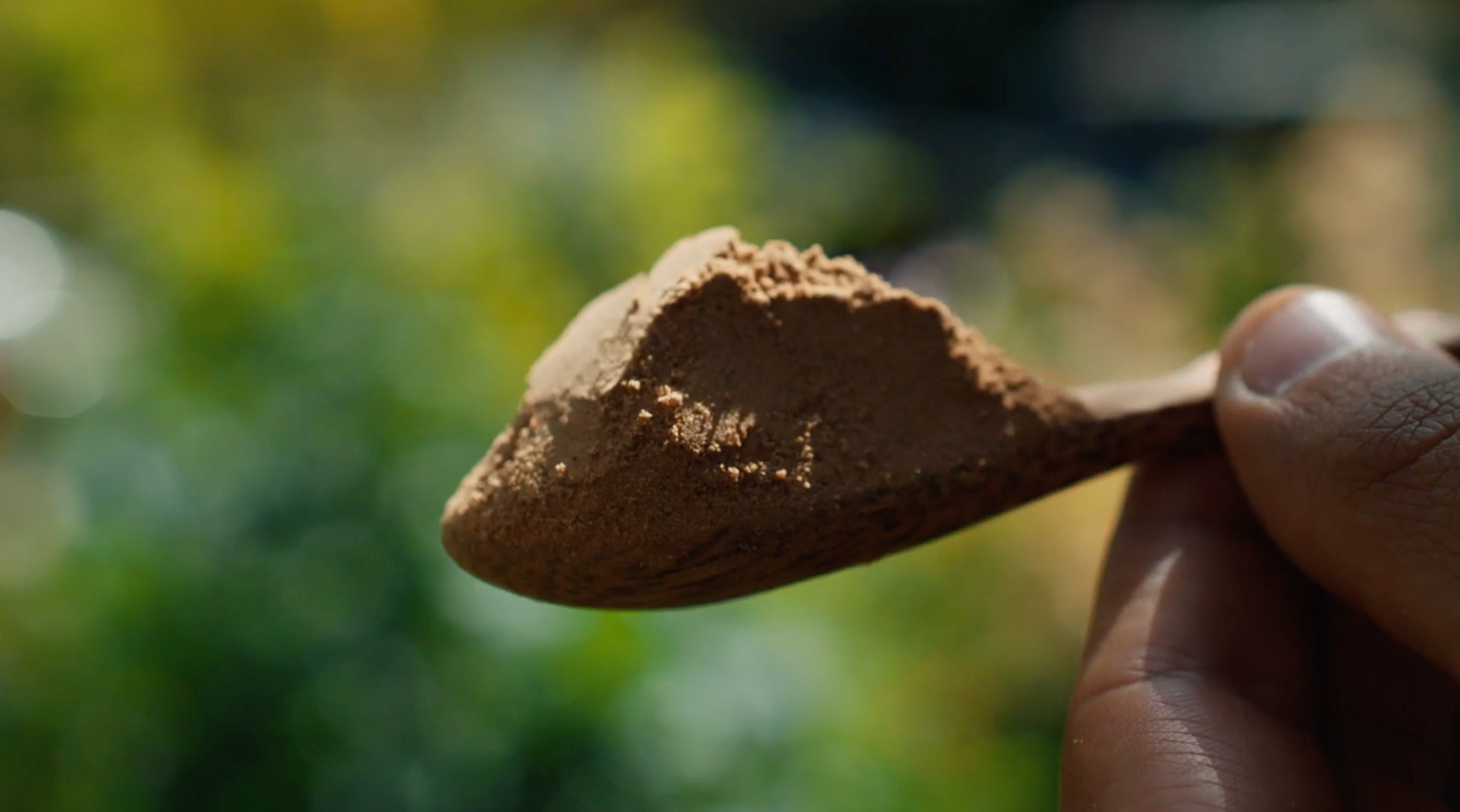 Hand holding a wooden spoon with brown powder against a blurred natural background